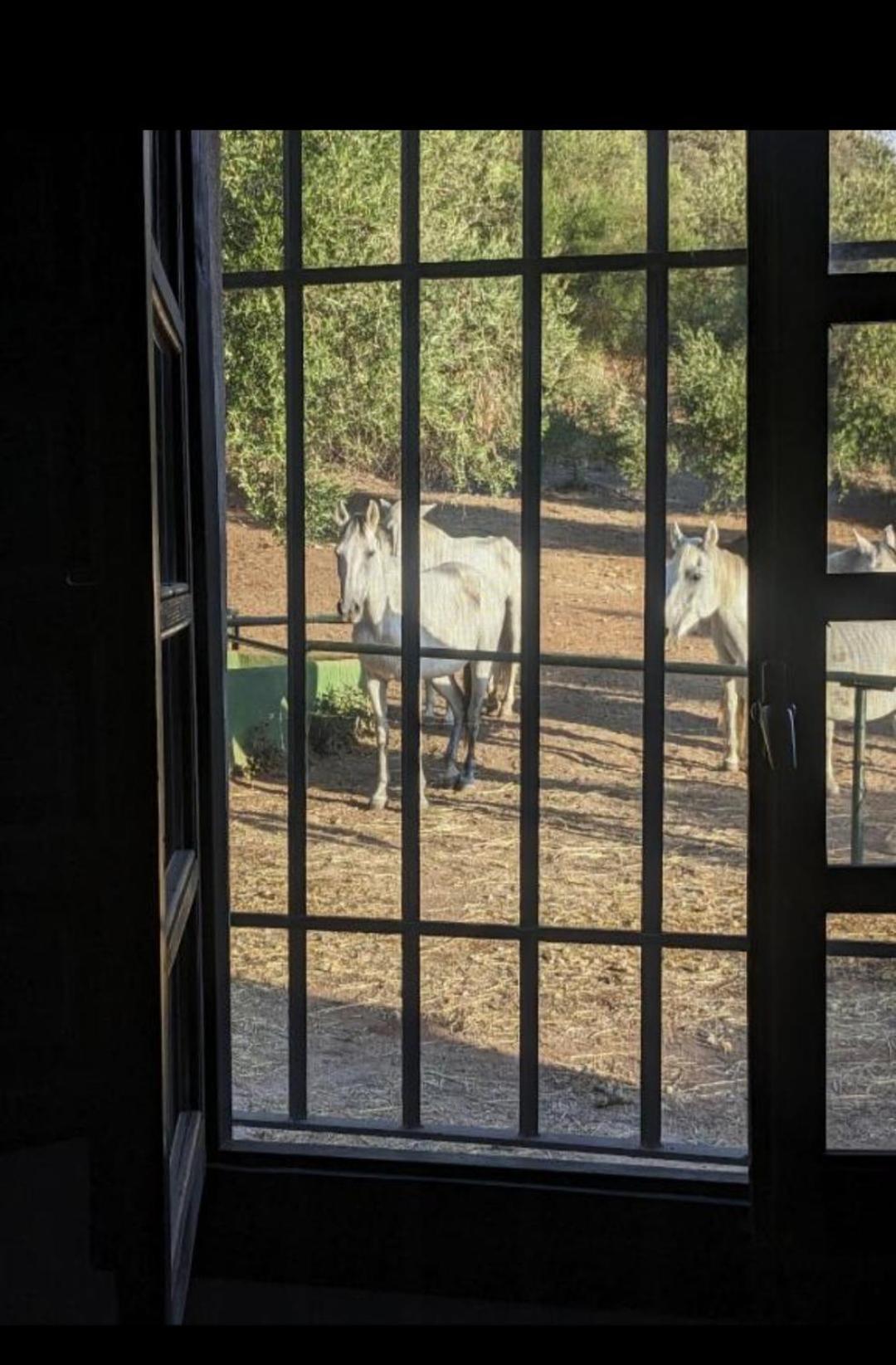 Willa Casa Abanto Ronda Zewnętrze zdjęcie